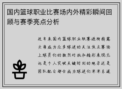 国内篮球职业比赛场内外精彩瞬间回顾与赛季亮点分析